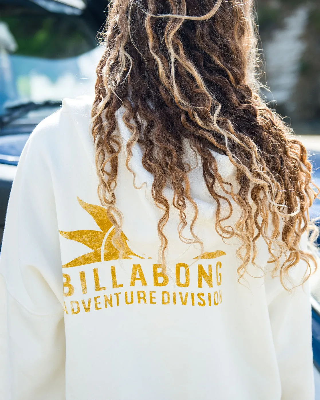Billabong Halifax Hoodie - Salt Crystal