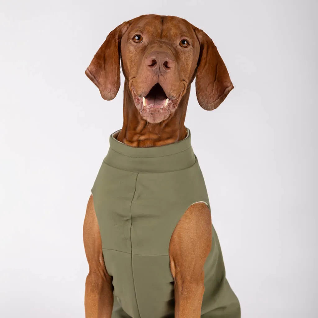 Floofy Fleece Dog Raincoat | Green